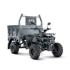 Грузовой квадроцикл TZR HUNTER 0200 